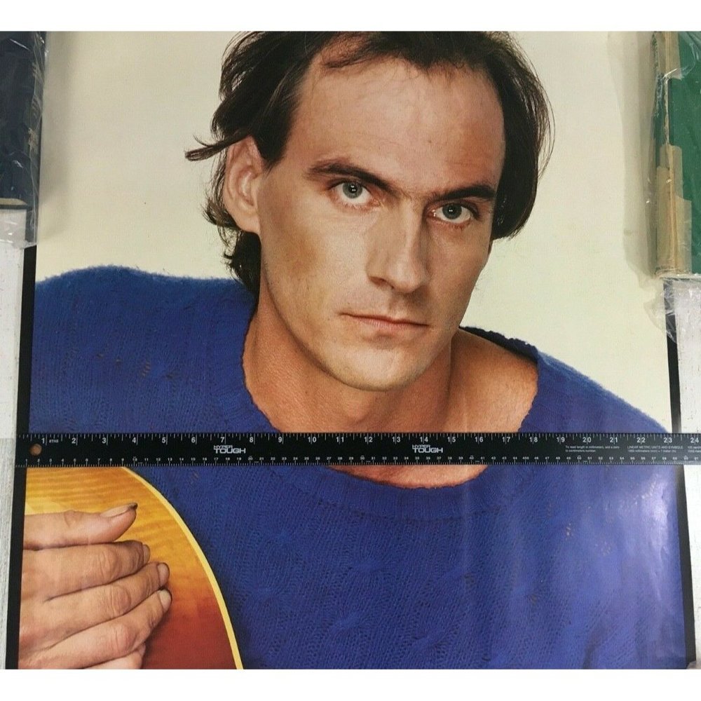 Vtg 1981 James Taylor Record Store Promo Poster Dad Loves His Work - Picture 11 of 12